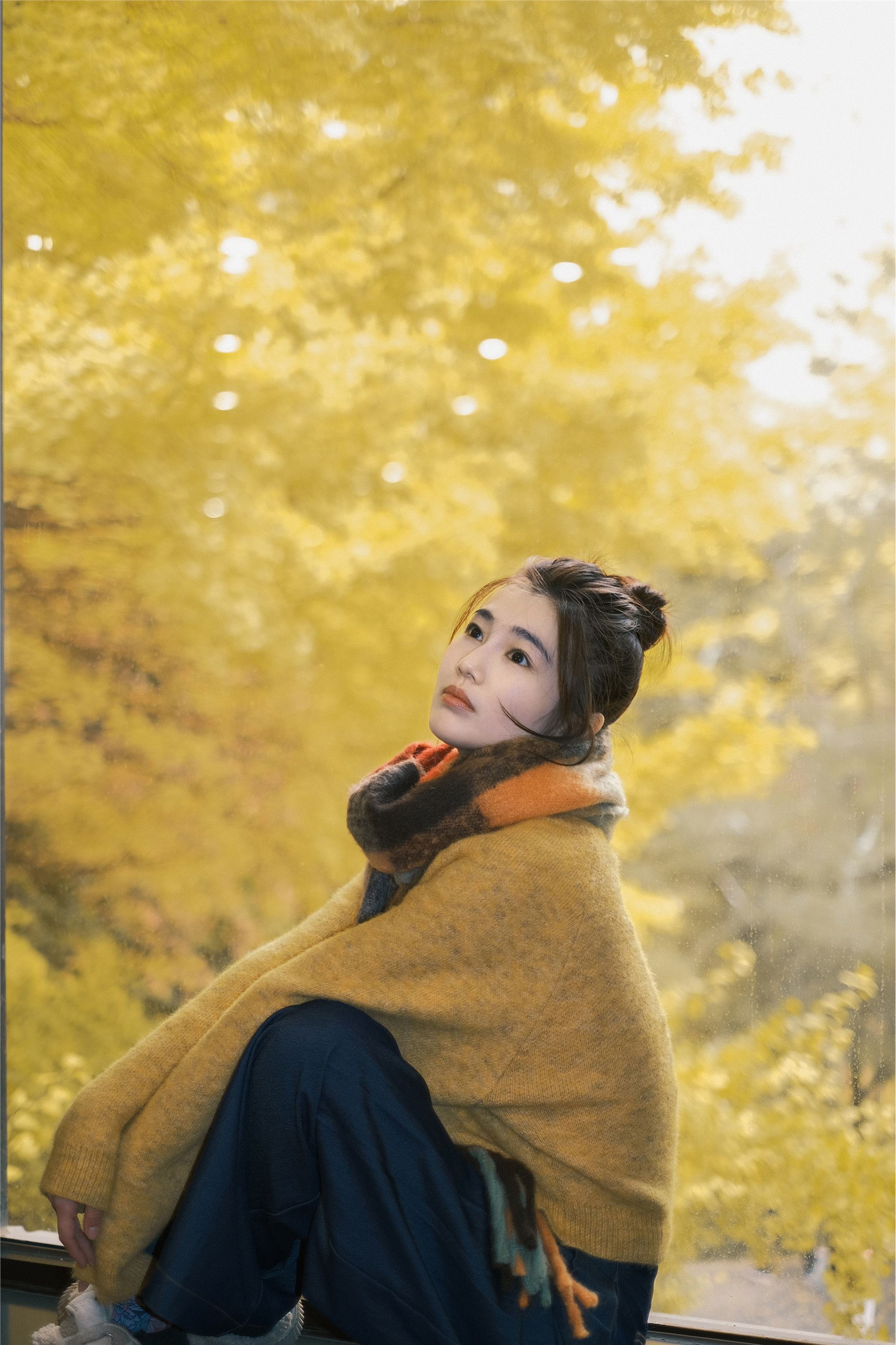 YITUYU艺图语 2025.01.26 窗边秋色 凡凡